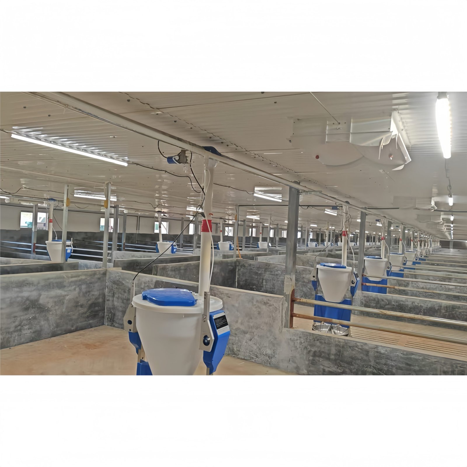 MANI IP67 Ik10 Tri-Proof Tubular use in food processing factory